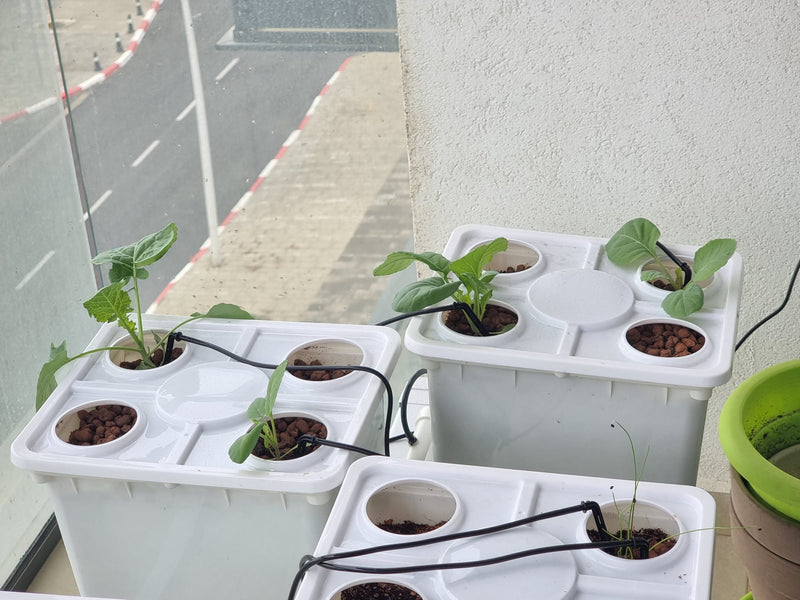 Load image into Gallery viewer, Tobato 5 – Dutch Bucket Hydroponic Growing System
