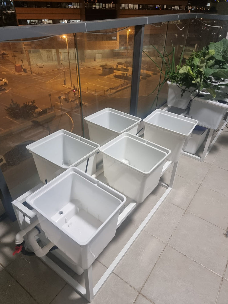 Load image into Gallery viewer, Tobato 5 – Dutch Bucket Hydroponic Growing System
