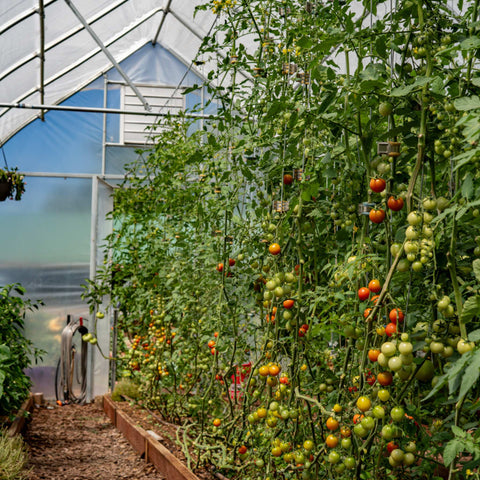 Qlipr Trellising System, additional product view 2