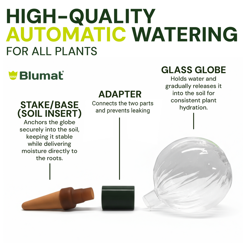 Load image into Gallery viewer, Glass Globe with Blumat Bottle Adapter
