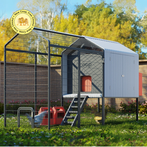 The Smart Coop Unlimited+, additional product view 2
