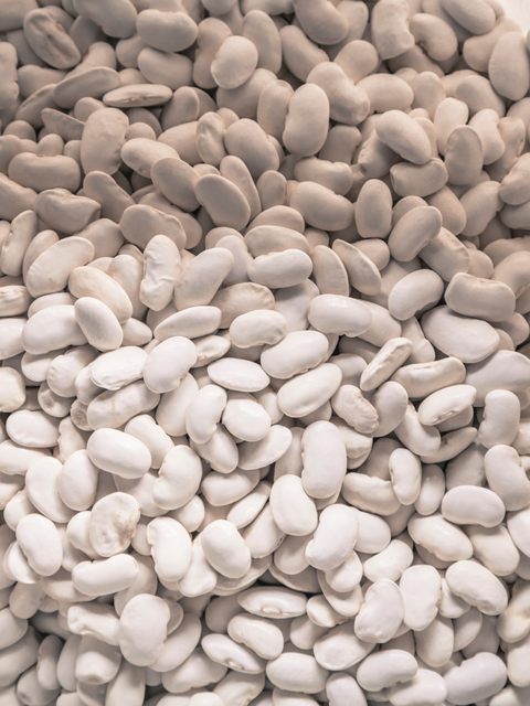 Heirloom Great North Beans, additional product view 2