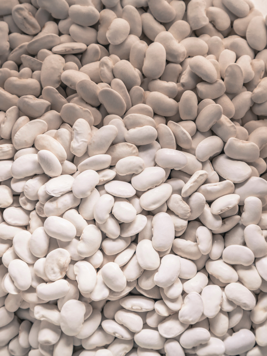 Heirloom Great North Beans