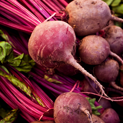 Organic Fresh Pak Beet seeds package, GrowTime Garden Supply