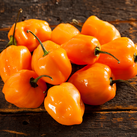 Organic Orange Habanero pepper seeds package, GrowTime Garden Supply