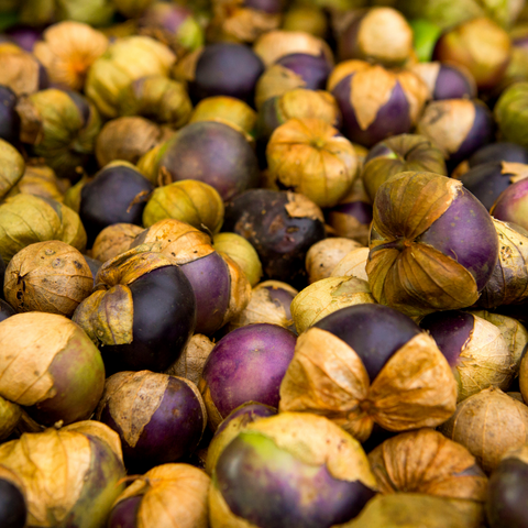 Rare Heirloom Organic Really Purple Tomatillo seeds package, GrowTime Garden Supply