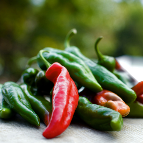 Organic Anaheim Pepper seeds package, GrowTime Garden Supply