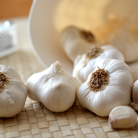 Heirloom Hardneck Organic Garlic seed package, GrowTime Garden Supply