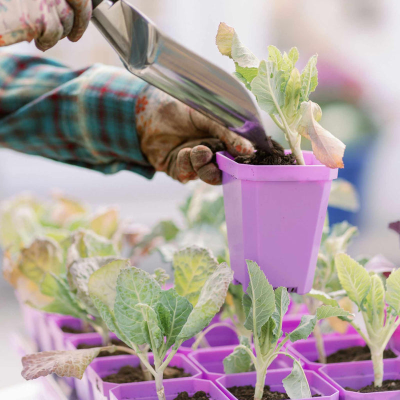 Load image into Gallery viewer, 3.3" Heavy Duty Seed Starting Pots with Inserts
