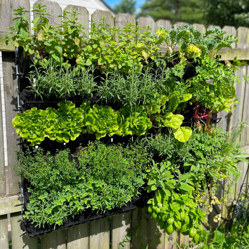Load image into Gallery viewer, Varden™ Kitchen Garden
