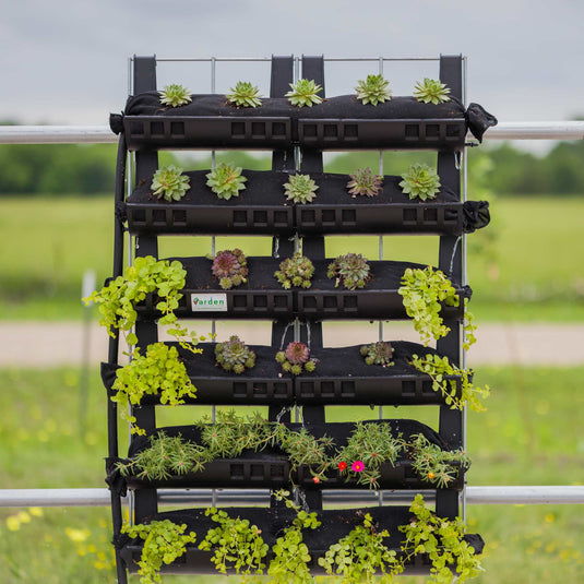 Varden Kitchen Garden from Bootstrap Farmer at GrowTime Garden Supply