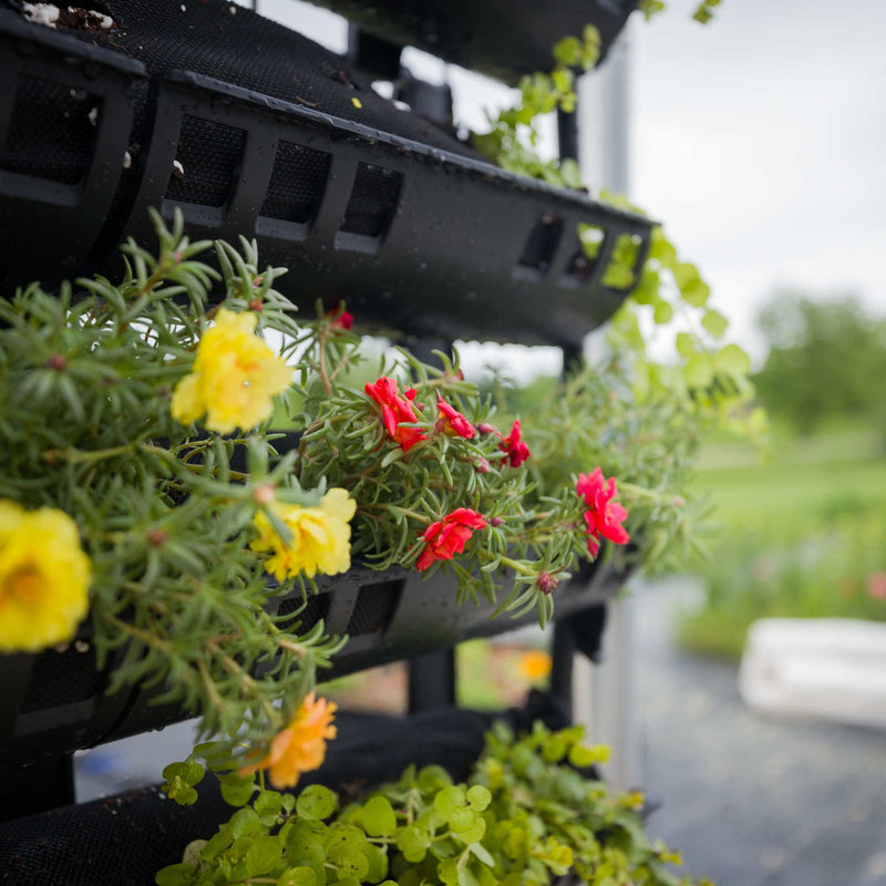 Load image into Gallery viewer, Varden™ Kitchen Garden
