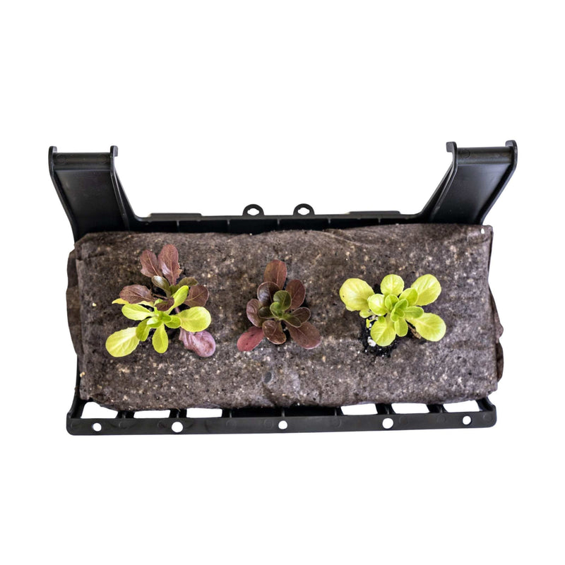 Load image into Gallery viewer, Varden™ Trays
