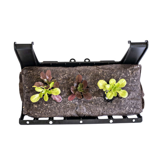 Varden™ Trays