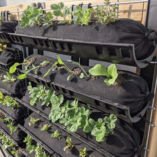Varden™ Trays