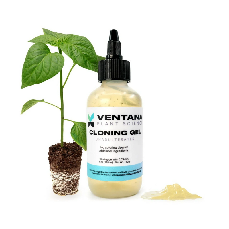 Load image into Gallery viewer, Ventana Plant Science Cloning Gel
