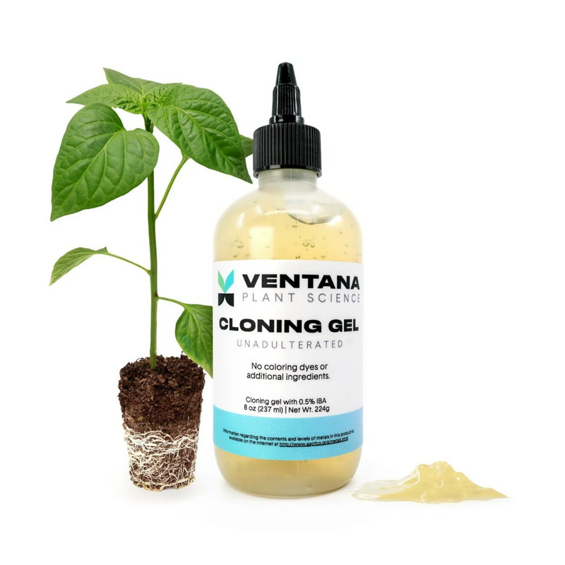 Load image into Gallery viewer, Ventana Plant Science Cloning Gel
