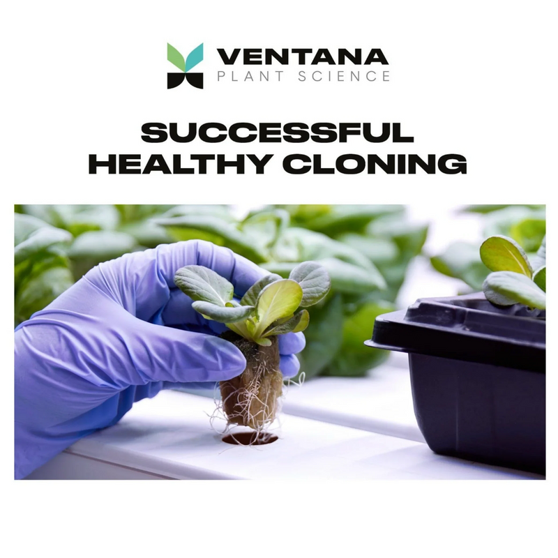 Load image into Gallery viewer, Ventana Plant Science Cloning Gel
