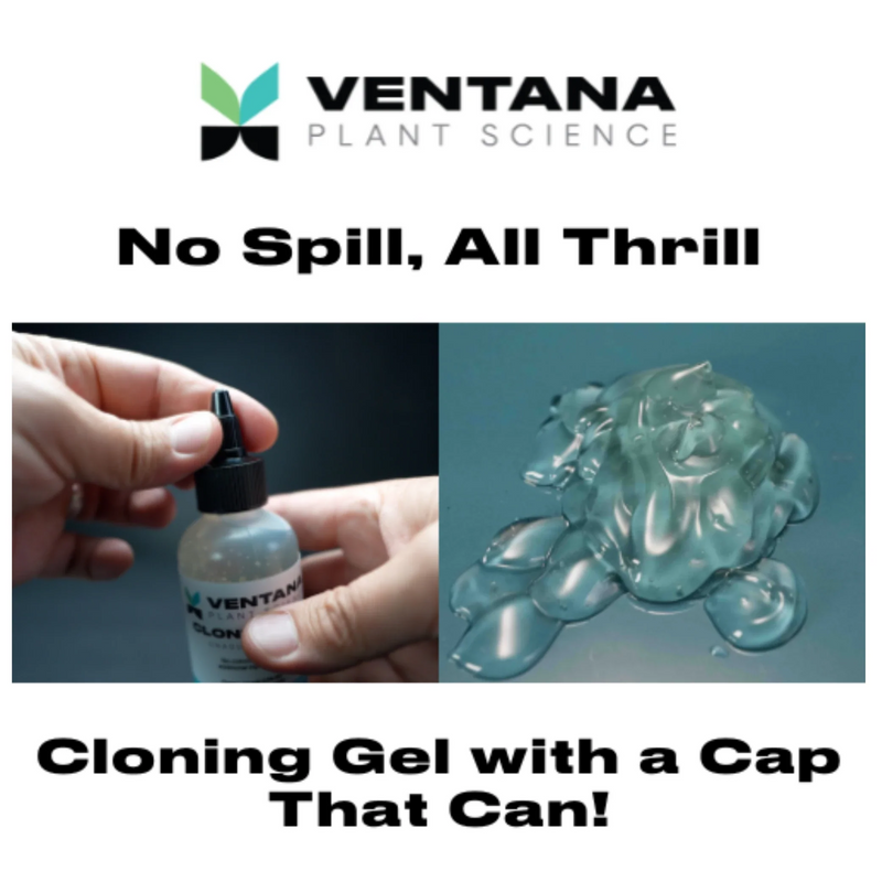 Load image into Gallery viewer, Ventana Plant Science Cloning Gel
