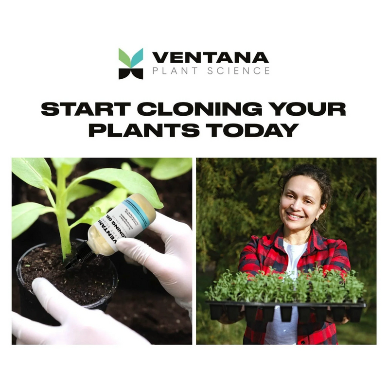 Load image into Gallery viewer, Ventana Plant Science Cloning Gel
