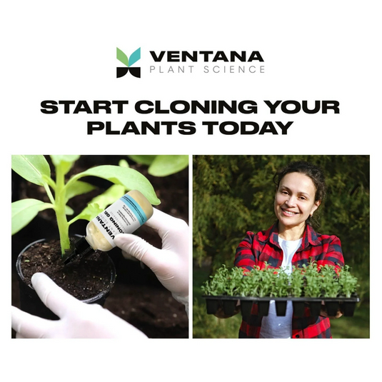 Ventana Plant Science Cloning Gel