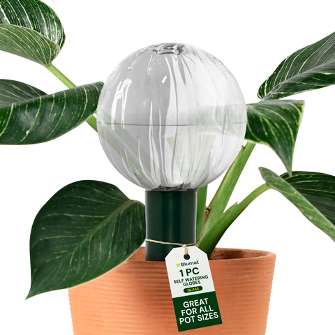 Blumat Glass Plant Self Watering Globes, additional product view 2