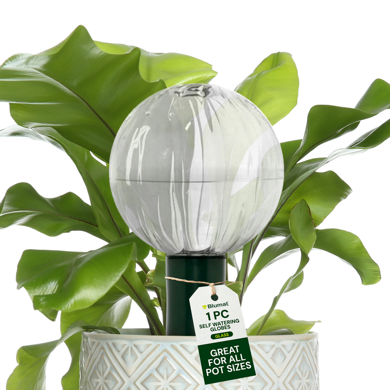 Load image into Gallery viewer, Glass Globe with Blumat Bottle Adapter
