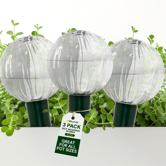 Glass Globe with Blumat Bottle Adapter