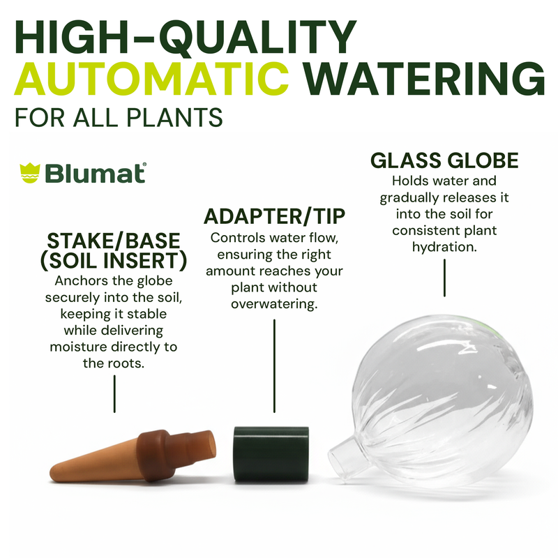 Load image into Gallery viewer, Blumat Glass Plant Self Watering Globes

