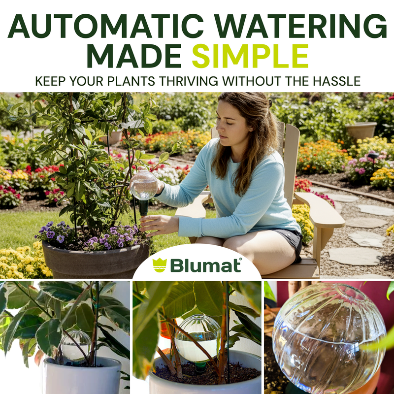 Load image into Gallery viewer, Blumat Glass Plant Self Watering Globes

