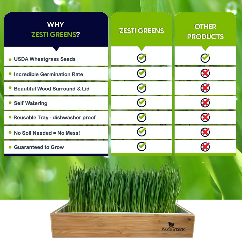 Load image into Gallery viewer, Organic Wheatgrass Growing Kit, Self Watering
