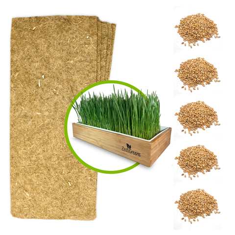 Organic wheatgrass refill kit with hemp mats and seed packets.