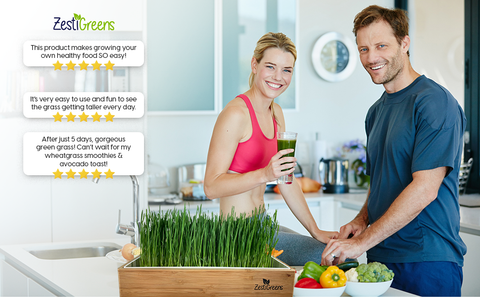 Organic Wheatgrass Growing Kit, Self Watering, additional product view 2