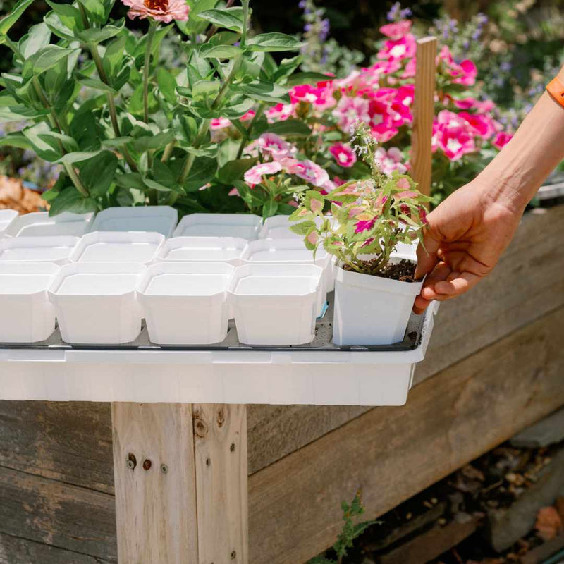 Load image into Gallery viewer, 3.3" Heavy Duty Seed Starting Pots with Inserts
