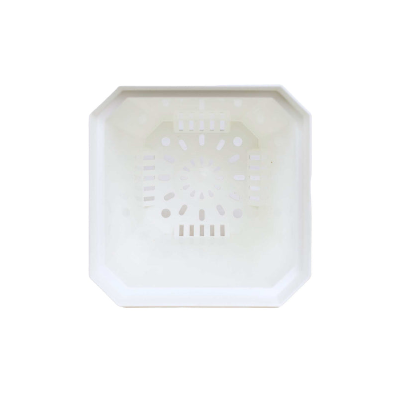 Load image into Gallery viewer, 5" Nursery Pots with Insert Tray
