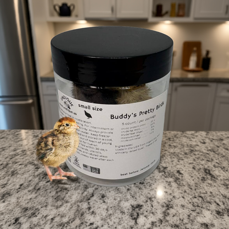 Load image into Gallery viewer, Whole Quail for Carnivore Pets - Premium Quality Natural Pet Treats Quail - Natural Prey Feeding Quail - Freeze-Dried for Essential Nutrients and Enzymes Small Size 5 Count
