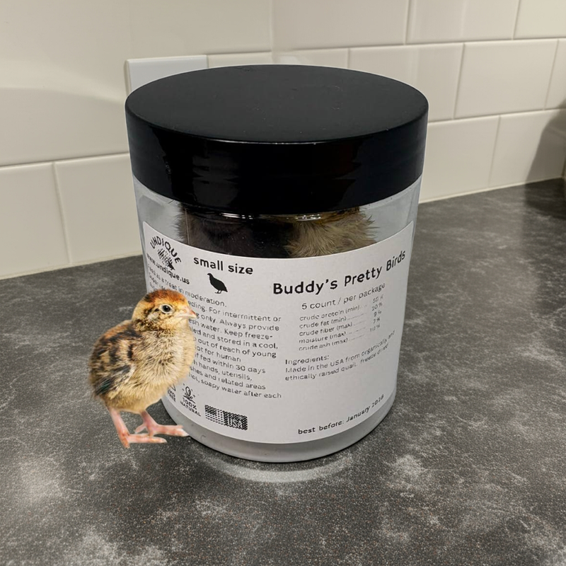 Load image into Gallery viewer, Whole Quail for Carnivore Pets - Premium Quality Natural Pet Treats Quail - Natural Prey Feeding Quail - Freeze-Dried for Essential Nutrients and Enzymes Small Size 5 Count
