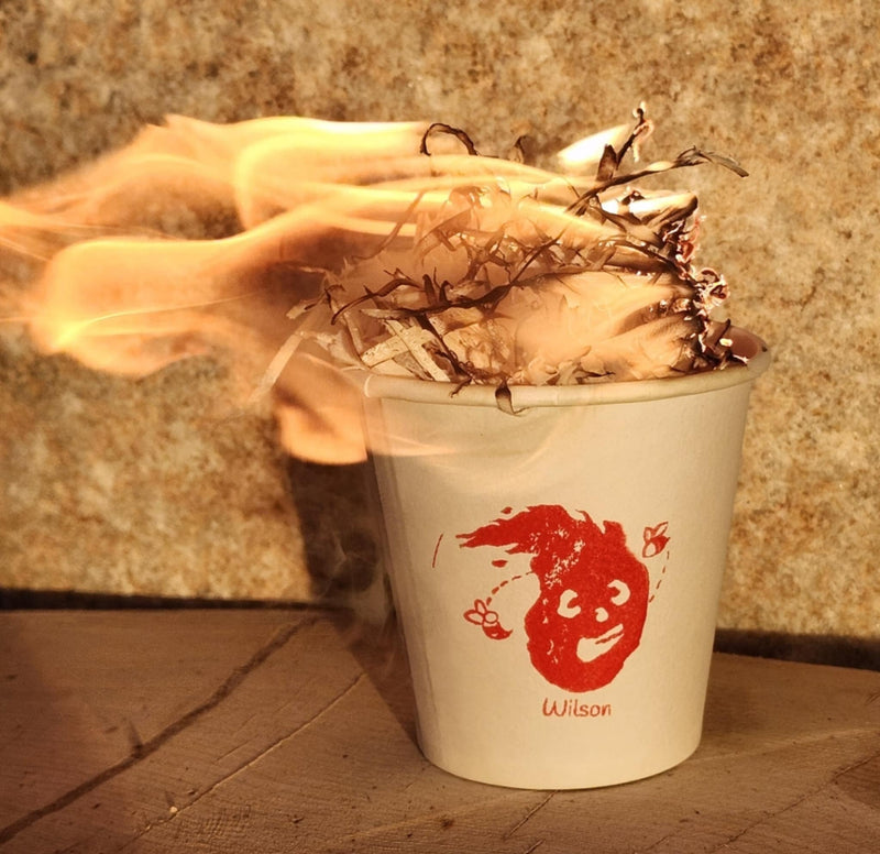 Load image into Gallery viewer, WILSON | Natural Fire Starter
