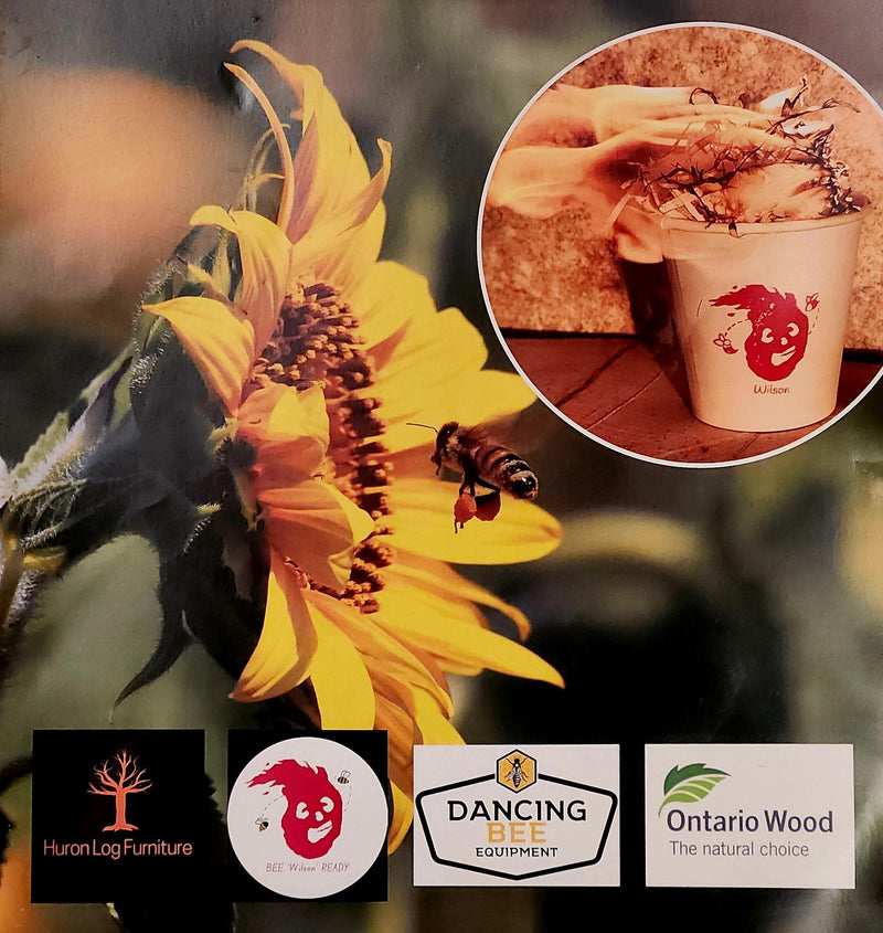 Load image into Gallery viewer, WILSON | Natural Fire Starter
