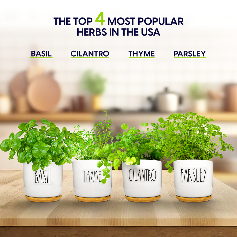 Load image into Gallery viewer, Ceramic Herb Kit
