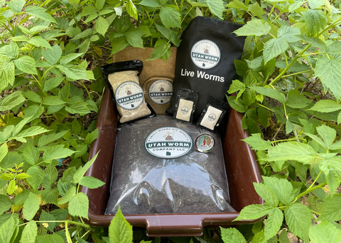 Utah Worm The Wormlet composting kit packaging