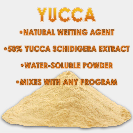 RAW Yucca | 50% Yucca Schidigera Extract | Natural Wetting Agent