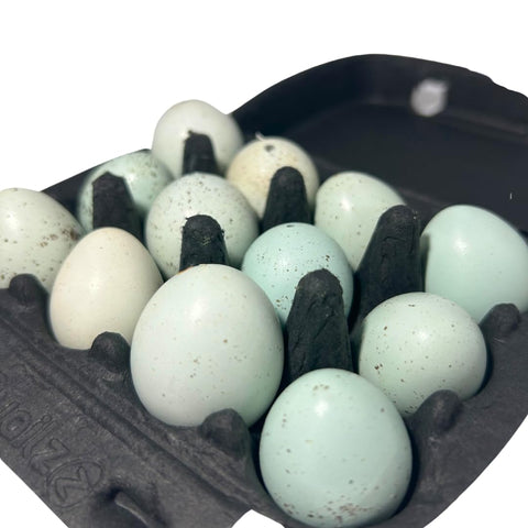 Hollowed celadon quail eggs, detail view
