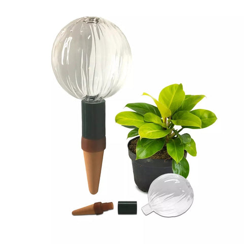Blumat glass plant self-watering globes