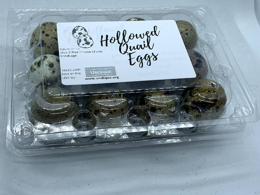 Empty Whole Eggshells Quail Eggs Hollowed - Set of 10 Cleaned Hollow Quail Eggs Perfect for Crafting and Decoration