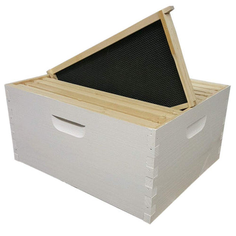 10-frame Langstroth deep brood box, painted and assembled, front