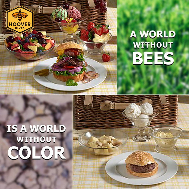 Load image into Gallery viewer, Wax-Coated 8 Frame Beehive - (1)Deep &amp; (1)Medium
