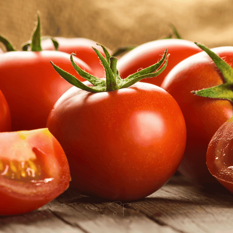 Ace 55 Tomato 50 Seeds