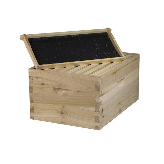 NuBee 8-Frame Beehive Kit – Unassembled (1 Deep + 1 Medium Box) with Frames & Wax-Coated Foundations | Lightweight Langstroth Hive