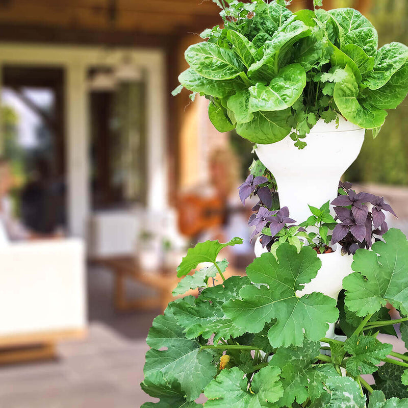 Load image into Gallery viewer, Airponic Fruit - Hydroponic Tower Garden System
